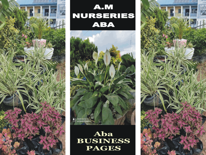 A.M Nurseries Limited