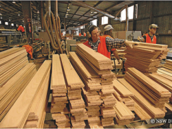 Uratta TIMBER Market