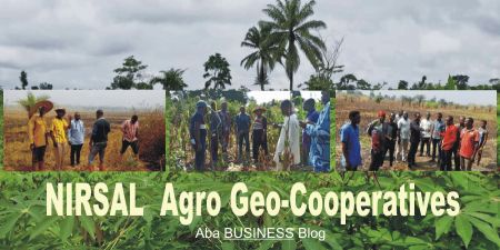NIRSAL's Agro Geo-Cooperative Farming Model is a Game-changer for Agricultural Financing in Nigeria