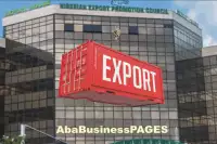 Top 10 AGRO Products You Can Start Exporting From Nigeria with Small Capital (Video)