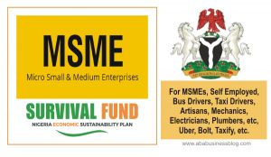 msme survival fund