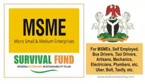 msme survival fund