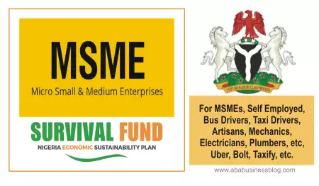 Are You a Small Business Owner? Then Bite Into the MSME Survival Fund Now!