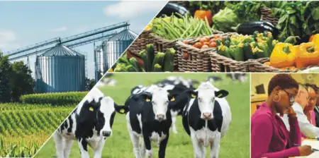 15 Business Opportunities In The Agricultural Value Chain That Can Make You Rich (Video)