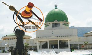 Constitution Amendment 2022 - Senate Passes 49 out of 68 Constitution Alteration Bills