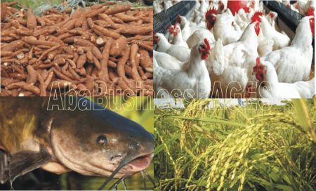 10 Lucrative Farming Businesses in Nigeria (Video)