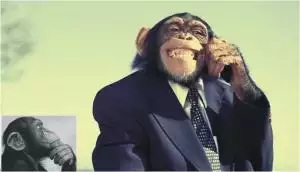 The "Monkey Business" Story - A Basic Stratagem of Fraudulent Businesses