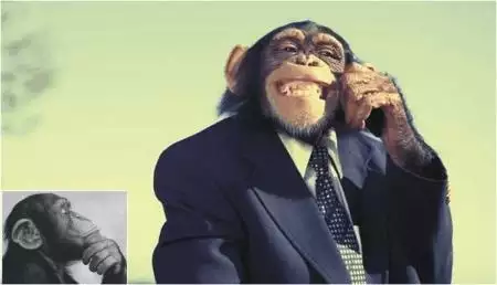 The &quot;Monkey Business&quot; Story - A Basic Stratagem of Fraudulent Businesses