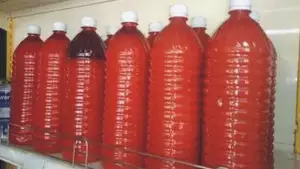 How to Become a Successful Palm Oil Trader (Video)