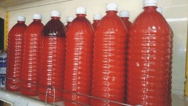 How to Become a Successful Palm Oil Trader (Video)